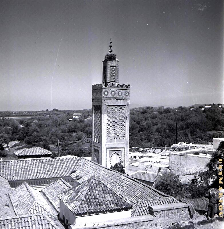 Tlemcen 506- Mosquee Sidi-Halaoui COLLECTION DES AMIS DE ND DE SANTA CRUZ.jpg